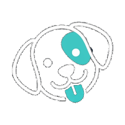 SpotWise Data Group